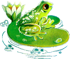 frog on a lilypad