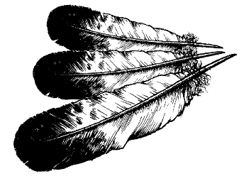 eagle feathers