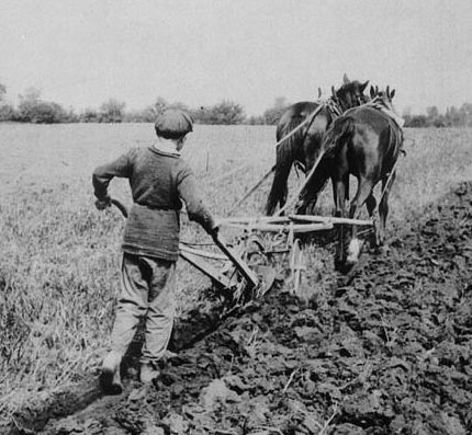 boy ploughing a field, 1900, from collectionscanada.gc.ca