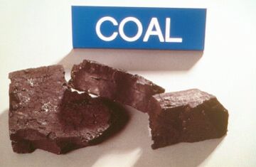 coal or lignite