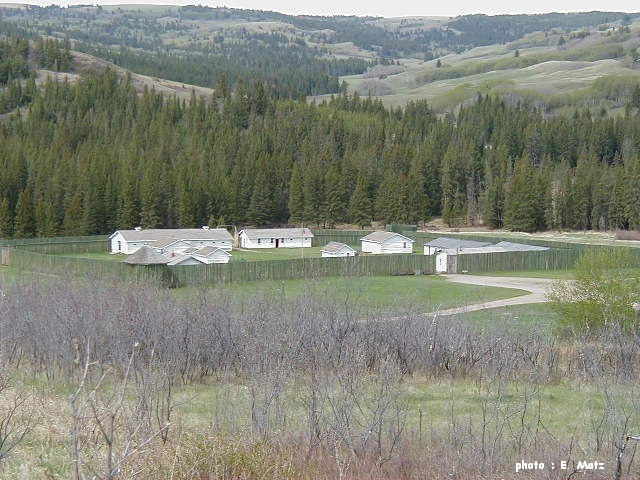 Fort Walsh