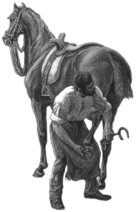 shodding a horse