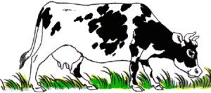 cow from arthursclipart.com